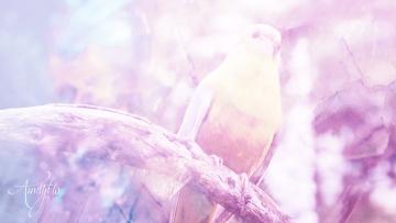 Yellow Bird