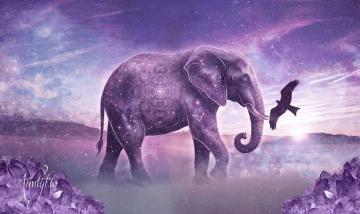 Elephantdreammeaning