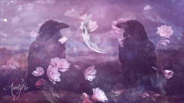 Funeral Hearse Dream Meaning & Interpretation