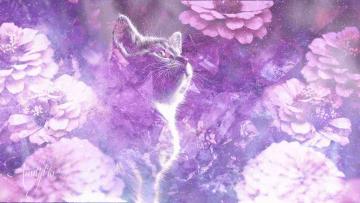 Ginger Kitten Dream Meaning