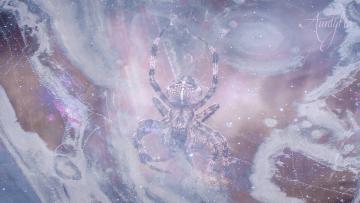 Dreaming of someone throwing spiders at you image