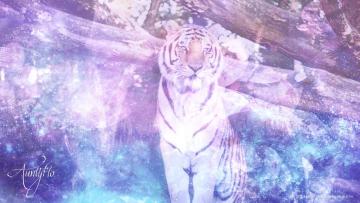 Tiger attack drea