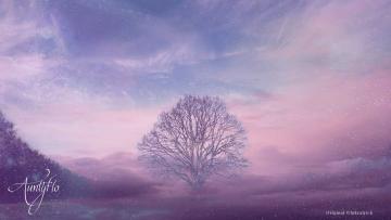 Tree Dream