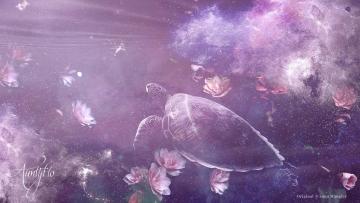 Turtle Dream