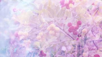Arbutus