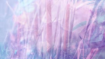 Cattail