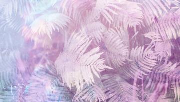 Fern meaning
