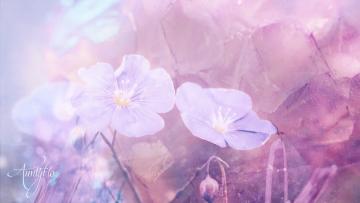 Flax Meaning