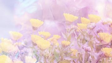 Marigold