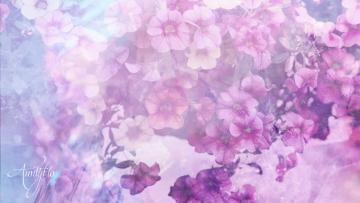 Petunia