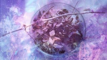 Balm of Gilead