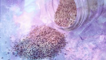 Celery Seed