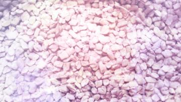 Fenugreek seed