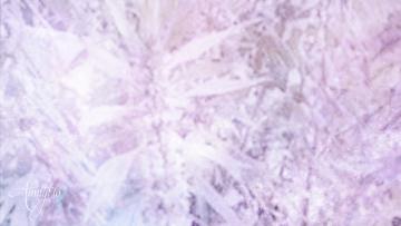 Motherwort