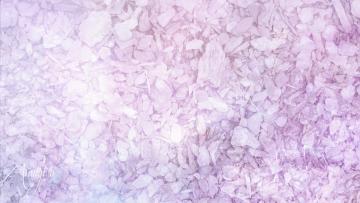 Pennyroyal leaves
