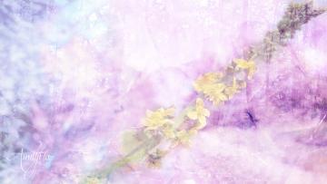 Agrimony