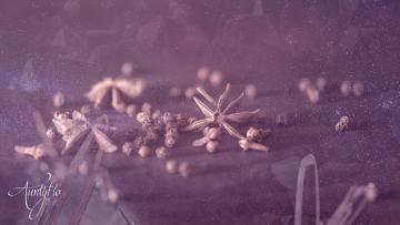 Anise Seed
