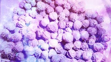 Cubeb berries