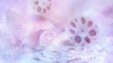 Lotus Root