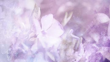 Periwinkle