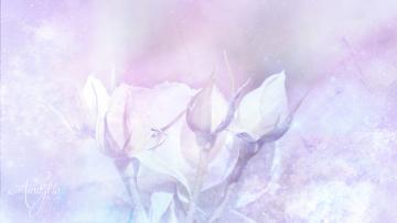 Rose Buds Herb