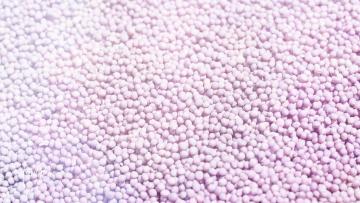 White Mustard Seeds