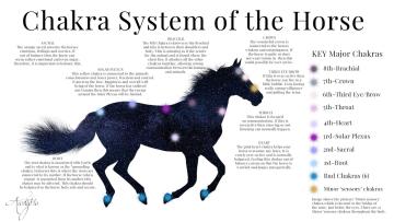 Chakras