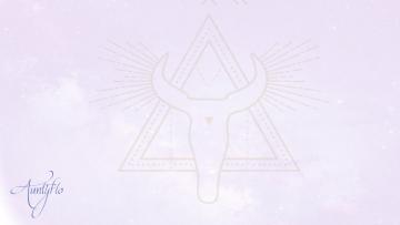 Totem Animal Meaning