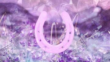 Horse shoe good luck