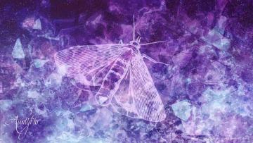 moth symbol