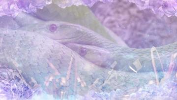 Snakes