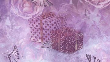 box meaning