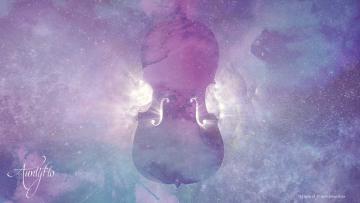 Violin