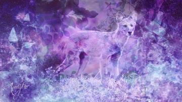 Dhole
