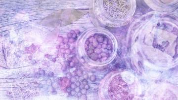 Protection Herbs
