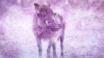 Warthog