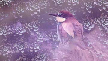 Bee-eater