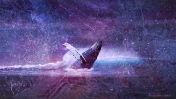Blue Whale