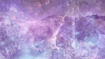 Bobcat
