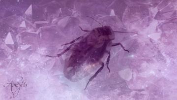 Cockroach