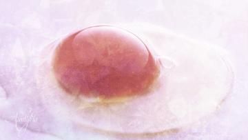 Egg