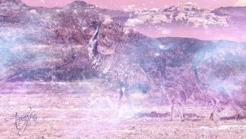 Emu