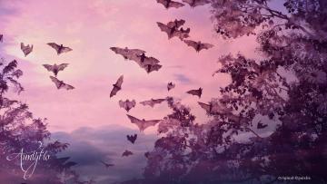 Flying Fox