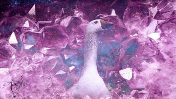 Goose