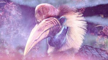 Hornbill