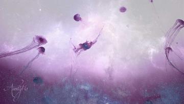 Jellyfish