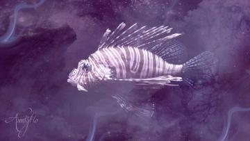 Lionfish