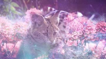 Serval