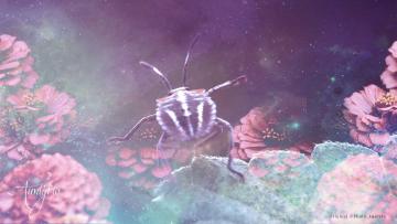 Stinkbug