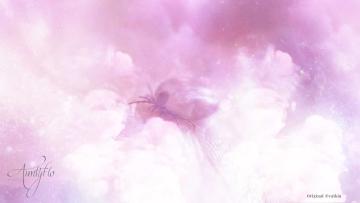 Tick